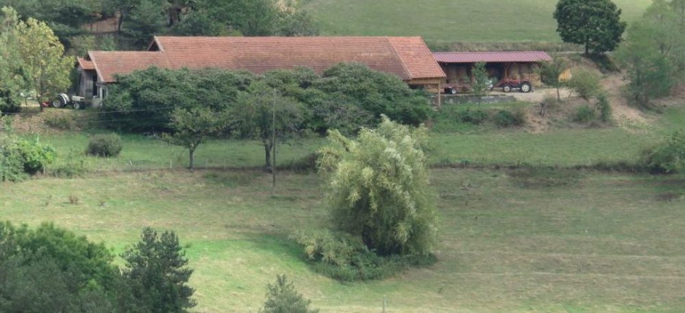 Photo bandeau Galerie Ferme